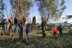 MiniIMG_20221104_094240_1