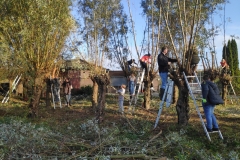 MiniIMG_20221104_094243
