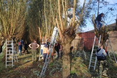 MiniIMG_20221104_095746