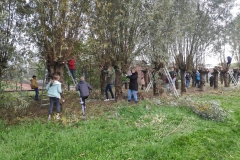 MiniIMG_20221104_104743