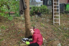 MiniIMG_20221104_115020_1