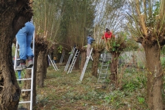 MiniIMG_20221104_115024