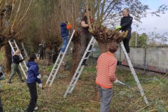 MiniIMG_20221104_115516_1