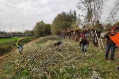 MiniIMG_20221104_134936