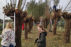 MiniIMG_20221104_134955_1