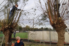 MiniIMG_20221104_135013