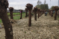 MiniIMG_20221104_140220