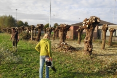 MiniIMG_20221104_145637
