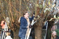 MiniIMG_4647
