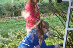 MiniIMG_4653