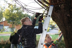 MiniIMG_4654