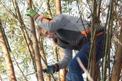 MiniIMG_4660