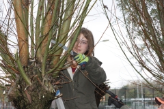 MiniIMG_4707