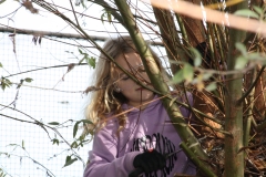 MiniIMG_4740