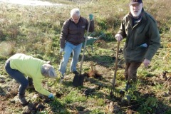 image00009