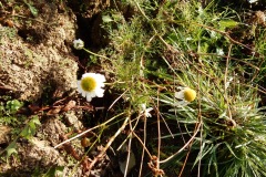 image00013
