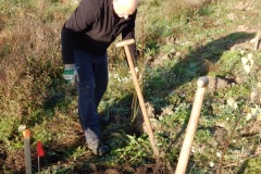 image00017