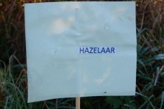 image00018