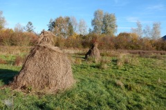 image00024