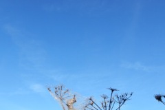 image00026