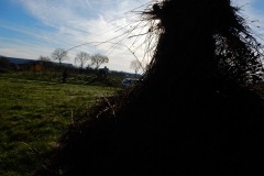 image00034