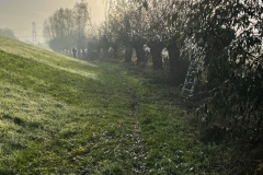 MiniIMG-20221126-WA0006