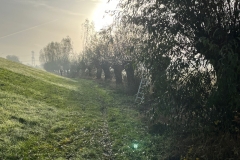 MiniIMG-20221126-WA0007