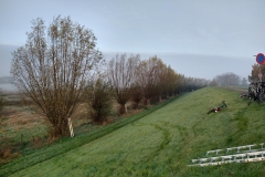 MiniIMG-20221126-WA0010