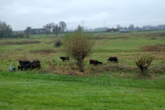 MiniIMG-20221126-WA0018
