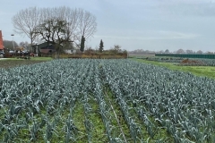 MiniIMG0003