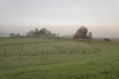 MiniIMG_20221126_082826