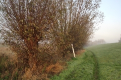MiniIMG_20221126_083855