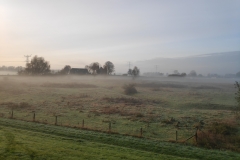 MiniIMG_20221126_084557