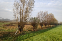 MiniIMG_20221126_093557_1