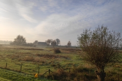 MiniIMG_20221126_093606_1