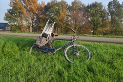 MiniIMG_20221126_093737