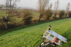 MiniIMG_20221126_093749_1