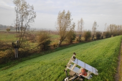 MiniIMG_20221126_093752