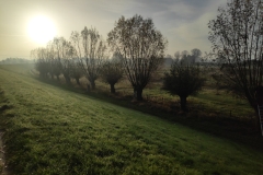 MiniIMG_20221126_093754_1