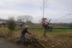 MiniIMG_20221126_125218