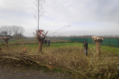 MiniIMG_20221126_125222
