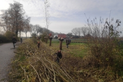MiniIMG_20221126_125239