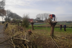 MiniIMG_20221126_125314_1