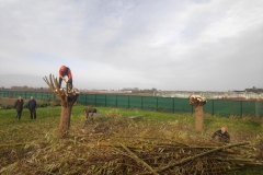 MiniIMG_20221126_125327_1