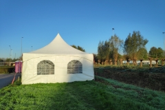 MiniIMG_20221105_085418