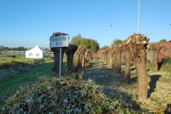 MiniIMG_20221105_095644_1
