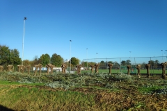 MiniIMG_20221105_100927