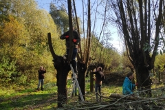 MiniIMG_20221105_104049