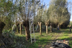 MiniIMG_20221105_111326_1