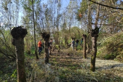 MiniIMG_20221105_111336_1